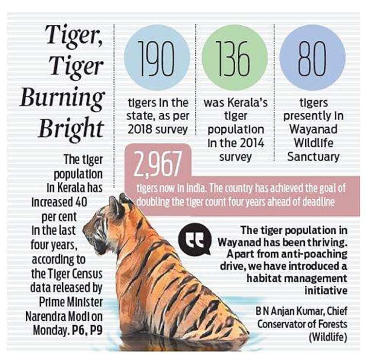 India Home to 2,967 Tigers Says Census Revealed on Global Tiger Day
